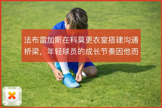 法布雷加斯在科莫更衣室搭建沟通桥梁,年轻球员的成长节奏因他而稳定