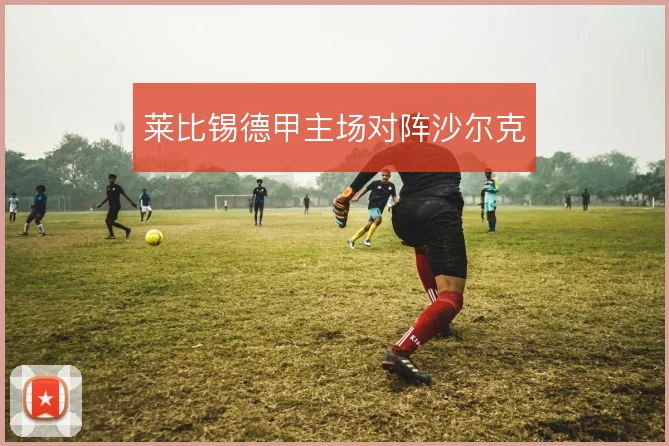 莱比锡德甲主场对阵沙尔克