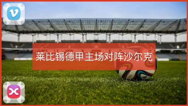莱比锡德甲主场对阵沙尔克