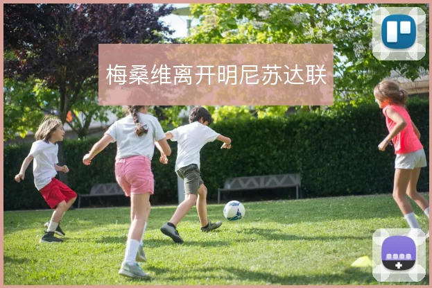 梅桑维离开明尼苏达联
